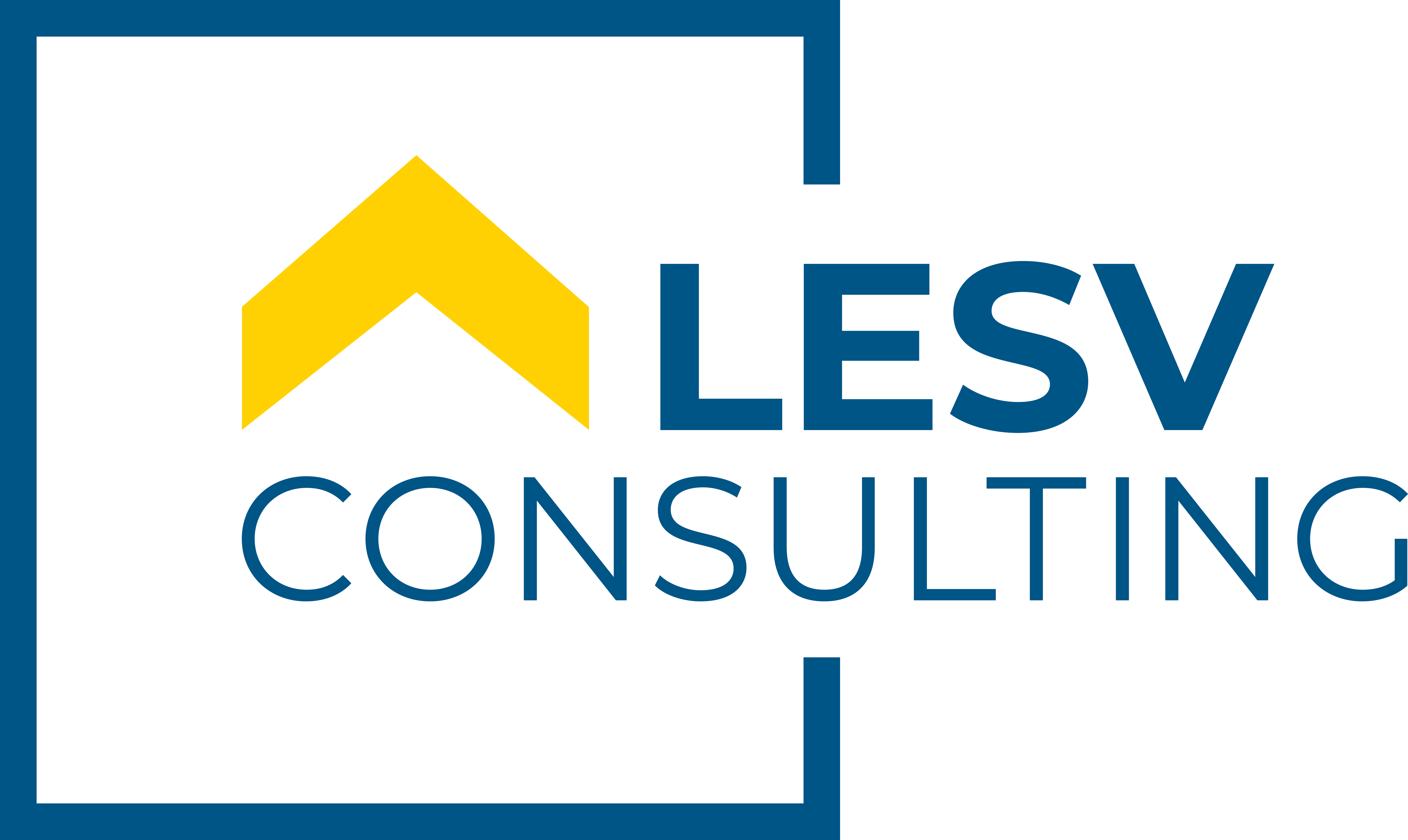 LESV Consulting